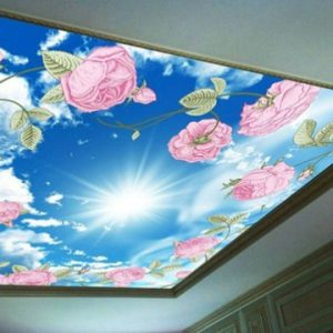 BIỆT THỰ HOA SỮA 8 VINHOME