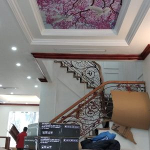 BIỆT THỰ HOA SỮA 8 VINHOME