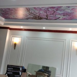 BIỆT THỰ HOA SỮA 8 VINHOME