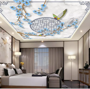 Tấm trần xuyên sáng - 006