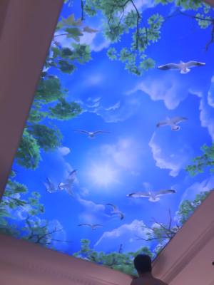 trần xuyên sáng tại hà nội