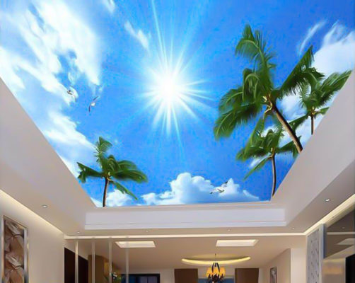 tran-xuyen-sang-cay-dua