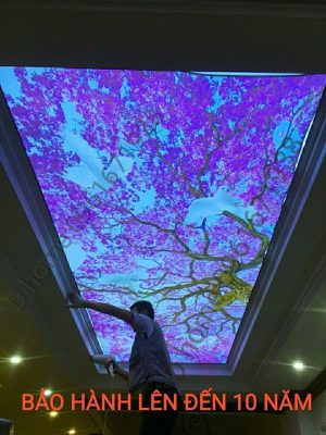 Trần nhà đẹp Hà Nội