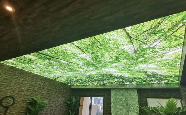 Nâng cao hiệu quả công trình với nguồn LED trần xuyên sáng chất lượng