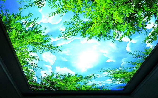 Trần xuyên sáng kết hợp ánh sáng và thiết kế tinh tế